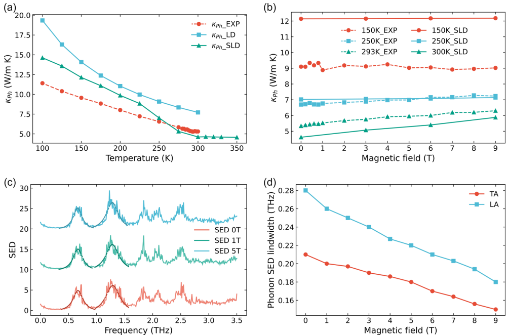Figure from Computational Analysis of Phonon-Magnon Scattering in Gadolinium