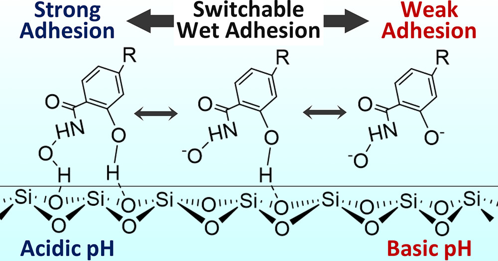 Figure from DFT Analysis of Salicylhydroxamic Acid Adhesion