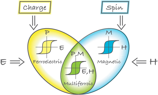 Multiferroic Oxides