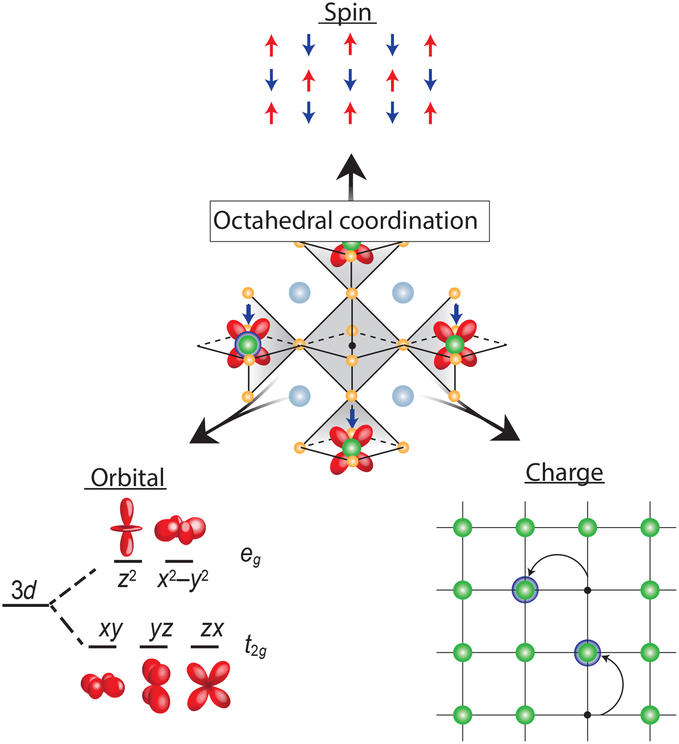 Strongly Correlated Systems